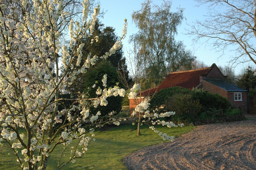 Field Cottage Bed And Continental Breakfast East Harling Habitación foto